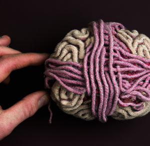 brain yarn