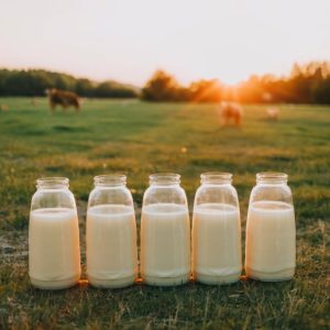 milk jugs