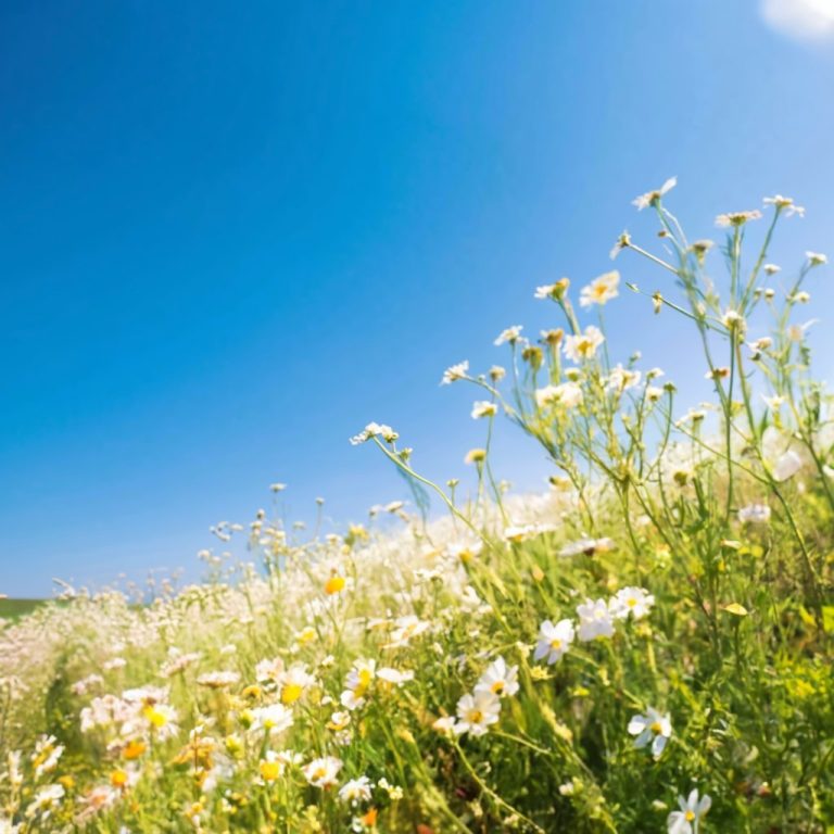 Hay Fever: Unraveling the Truth about Seasonal Allergies