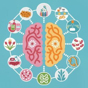 probiotics and gut brain axis