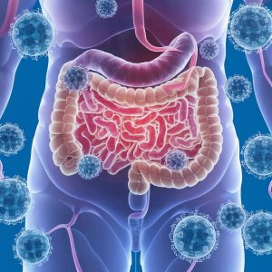 probiotic gut illustration